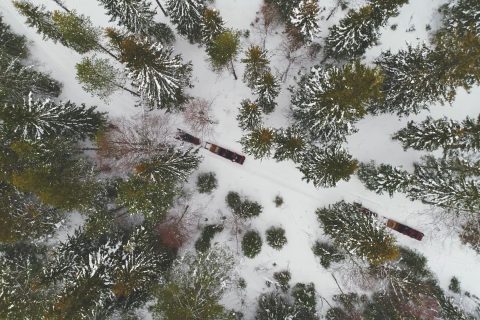 Ilmakuva lumisesta kuusimetsästä, jossa kaksi kelkkaa vetää rekiä, Kemin matkailun matkailuvideo