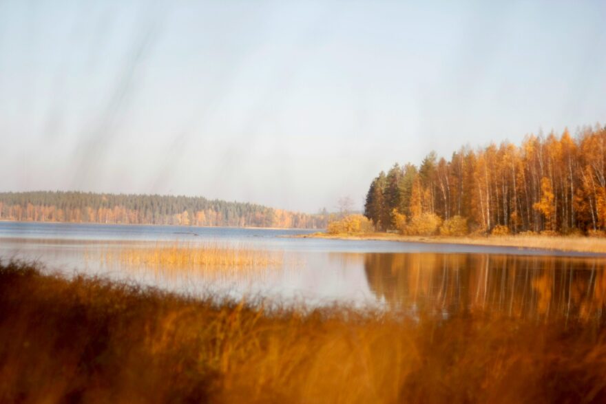 Logosuunnittelu ja graafinen ilme kokkolalaiselle yrityksille &ndash; ammattitaitoinen mainostoimisto Lapissa