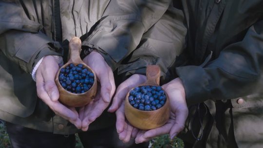 Kuvakaappaus videosta: Arktinen seikkailusaari Kemissä, Meri-Lapissa