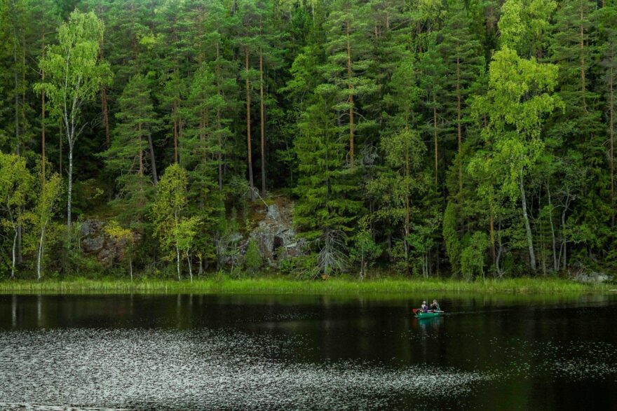 Vehre&auml; mets&auml;lampi ja kanootti kes&auml;ll&auml; Nuuksiossa