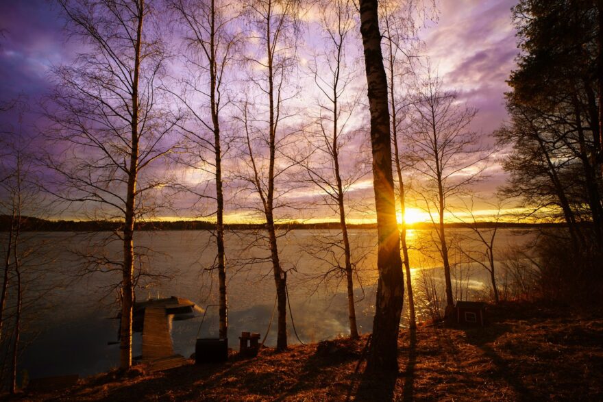 Koivuja j&auml;rvenrannalla auringonlaskussa Valkeakoskella