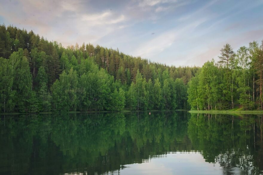 Mets&auml;n reunustama j&auml;rvi tyynen&auml; kes&auml;iltana