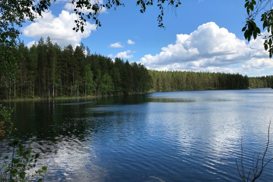 Mets&auml;j&auml;rvi ja m&auml;ntymets&auml; aurinkoisena kes&auml;p&auml;iv&auml;n&auml;