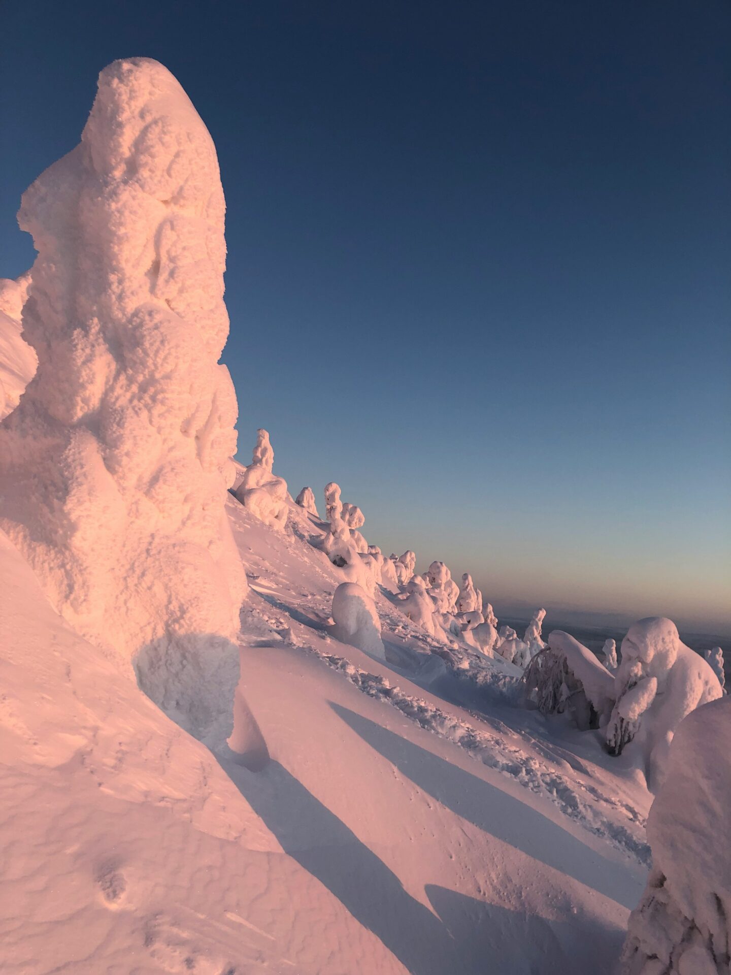 Digitaaliset palvelut Raahessa – WordPress-verkkosivut ja verkkokaupat Lapin yrityksille