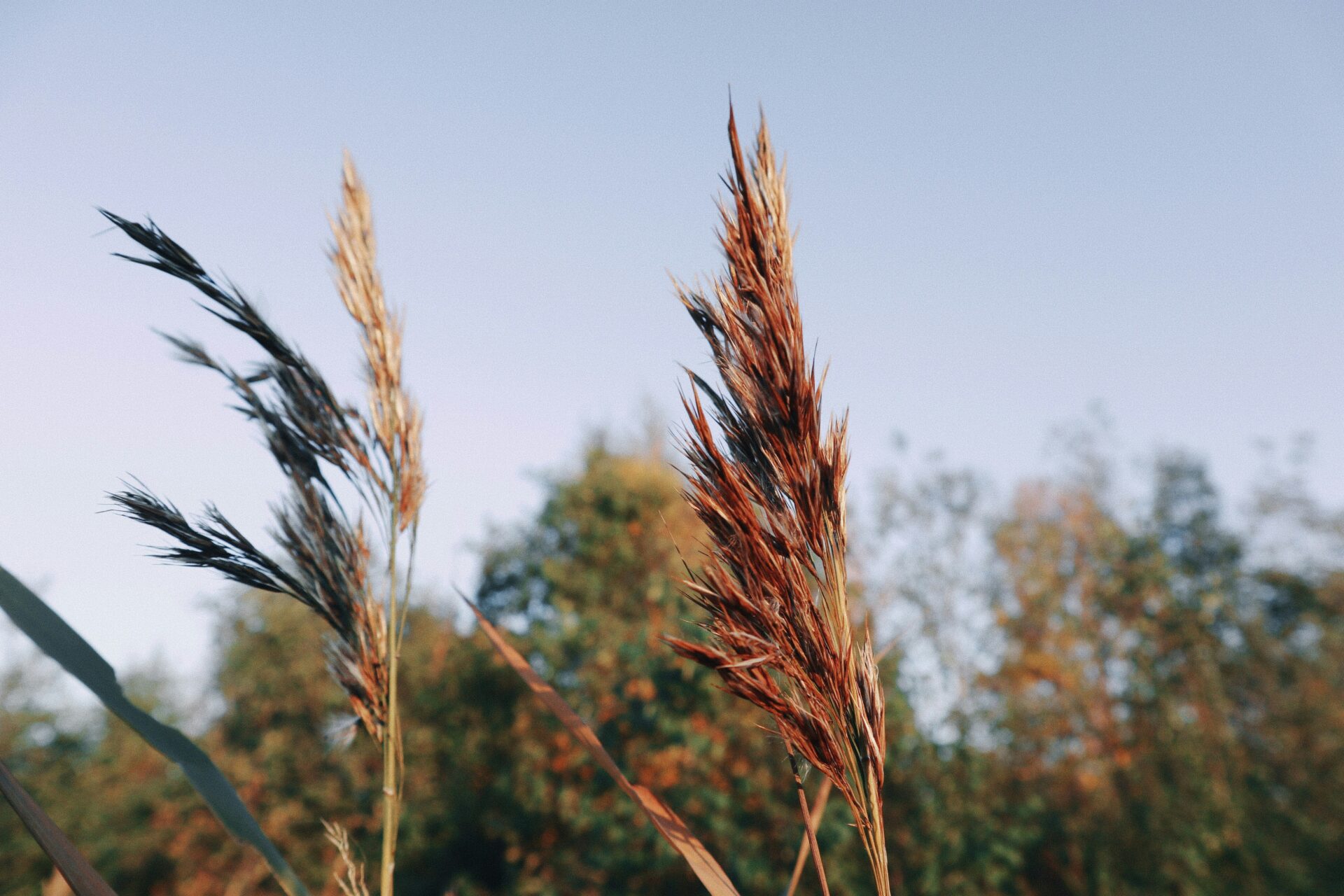 Logosuunnittelu ja graafinen ilme oululaisille yrityksille – ammattitaitoinen mainostoimisto Lapissa