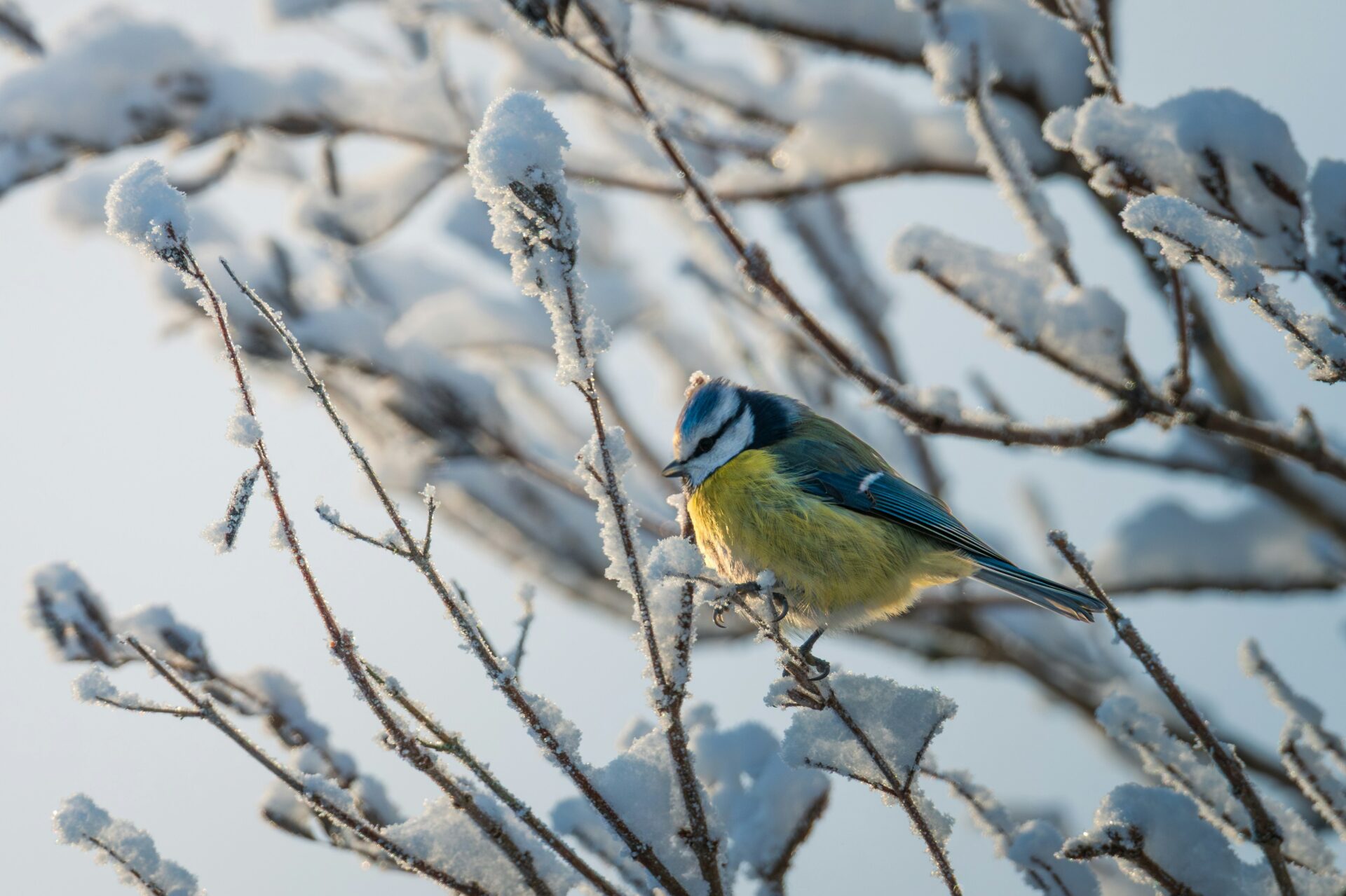 WooCommerce-verkkokaupan toteutus Kemissä – ammattitaitoisesti rakennetut verkkokaupat