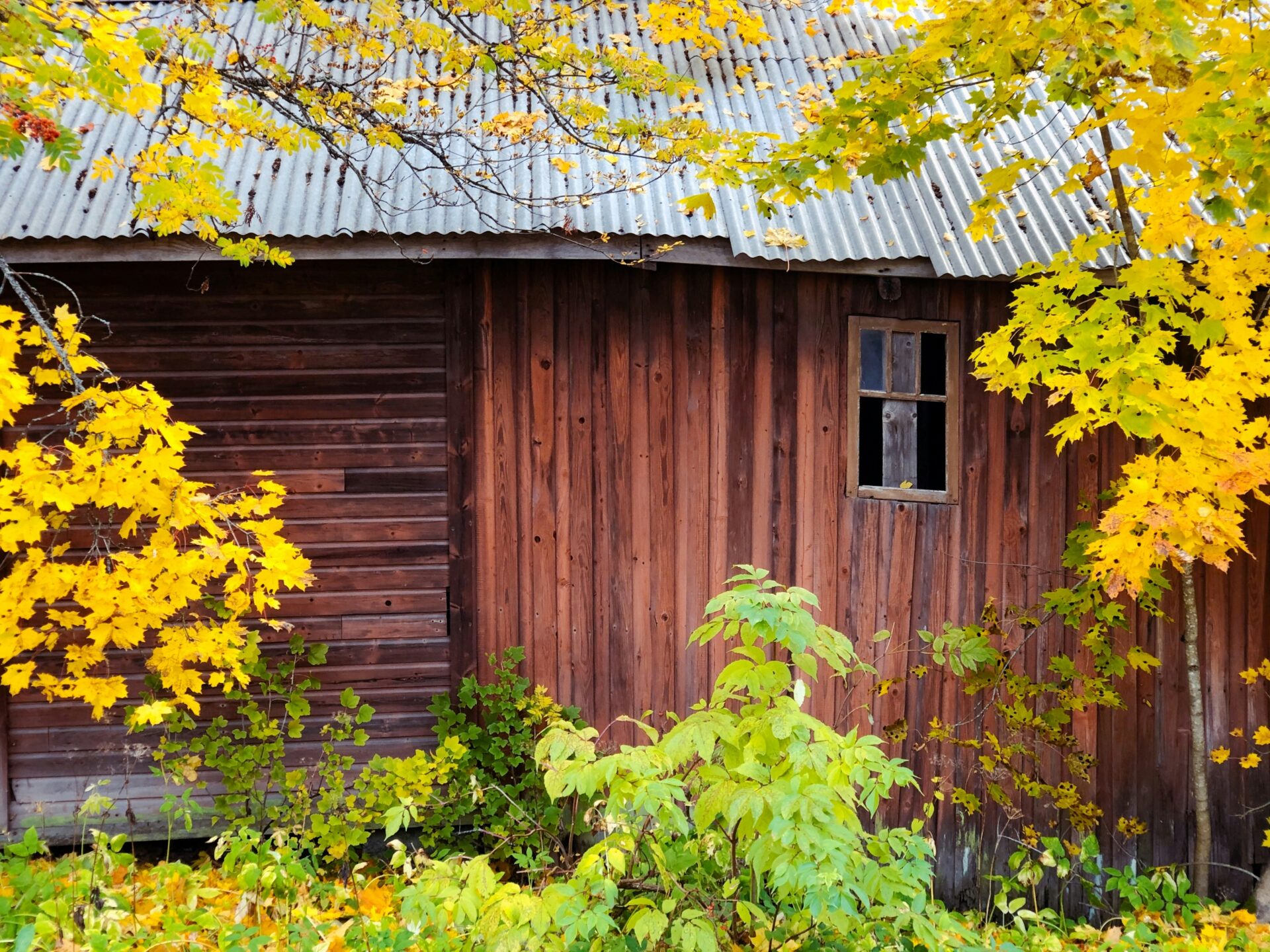 WooCommerce-verkkokaupan toteutus Kempeleessä – ammattitaitoisesti rakennetut verkkokaupat