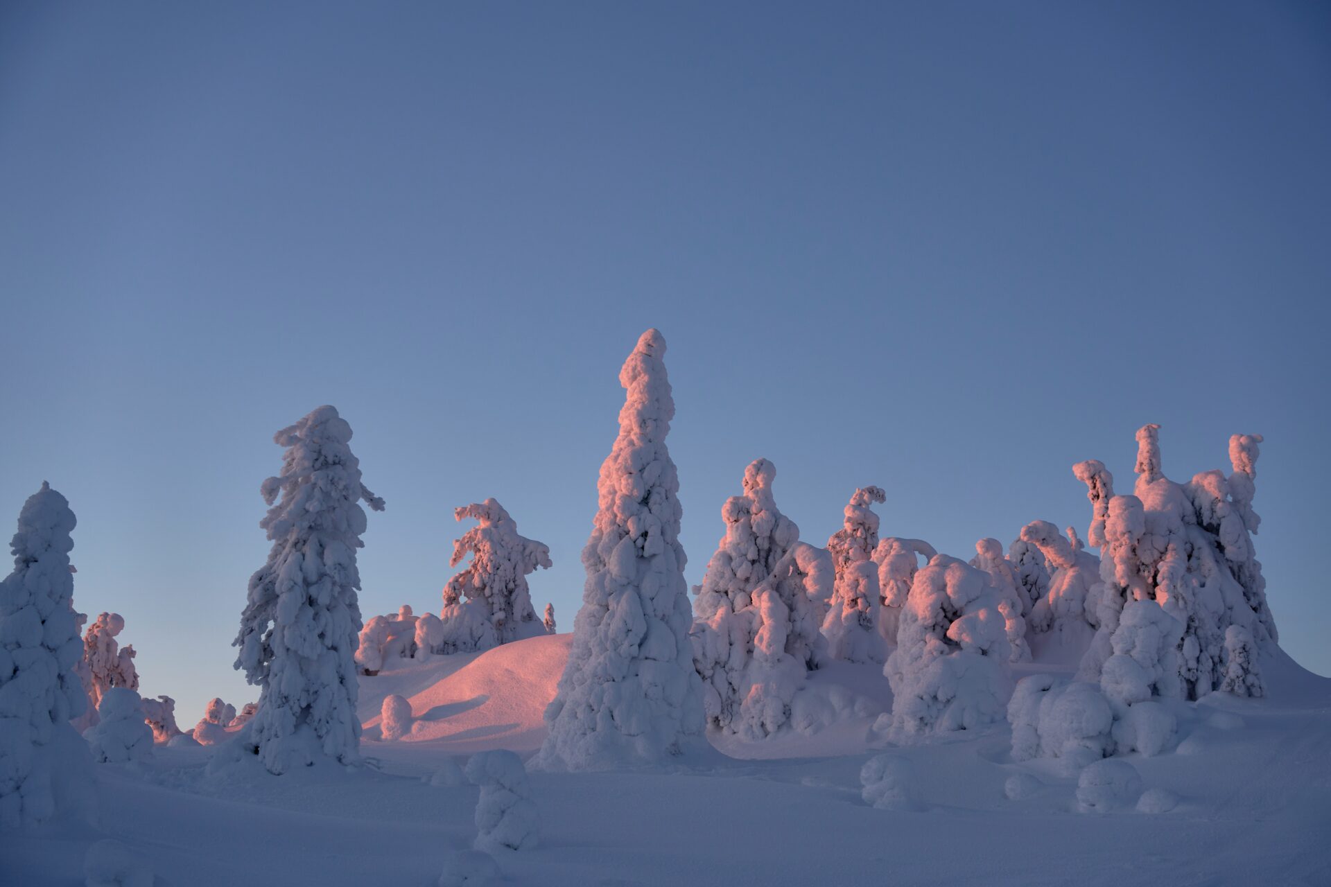 WordPress-verkkosivujen suunnittelu ja toteutus Kemissä – räätälöidyt verkkosivut yrityksille