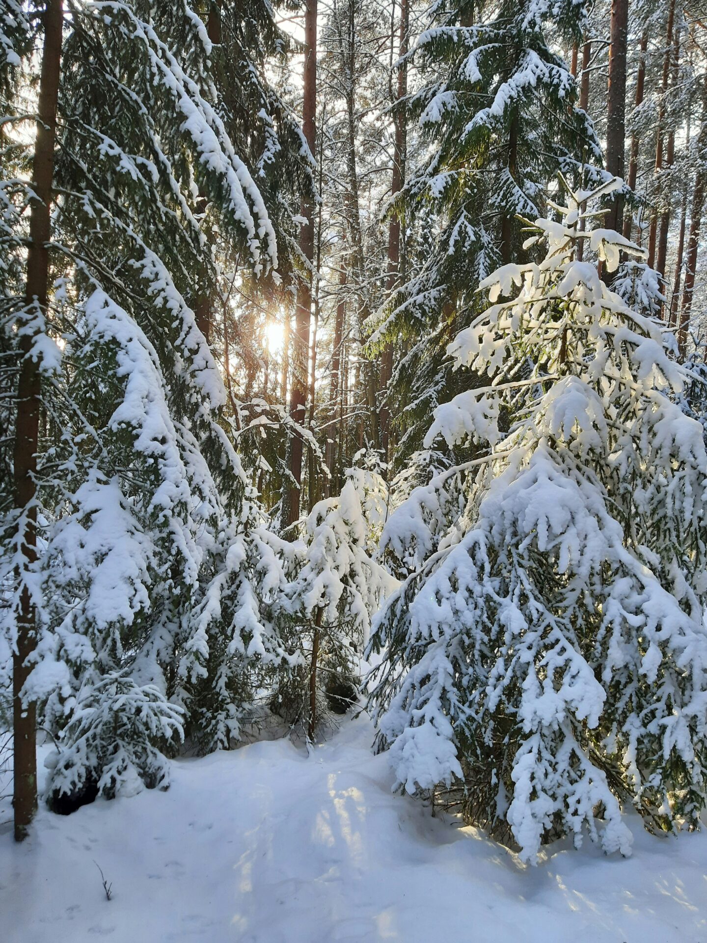 WordPress-verkkosivujen suunnittelu ja toteutus Raahessa – räätälöidyt verkkosivut yrityksille