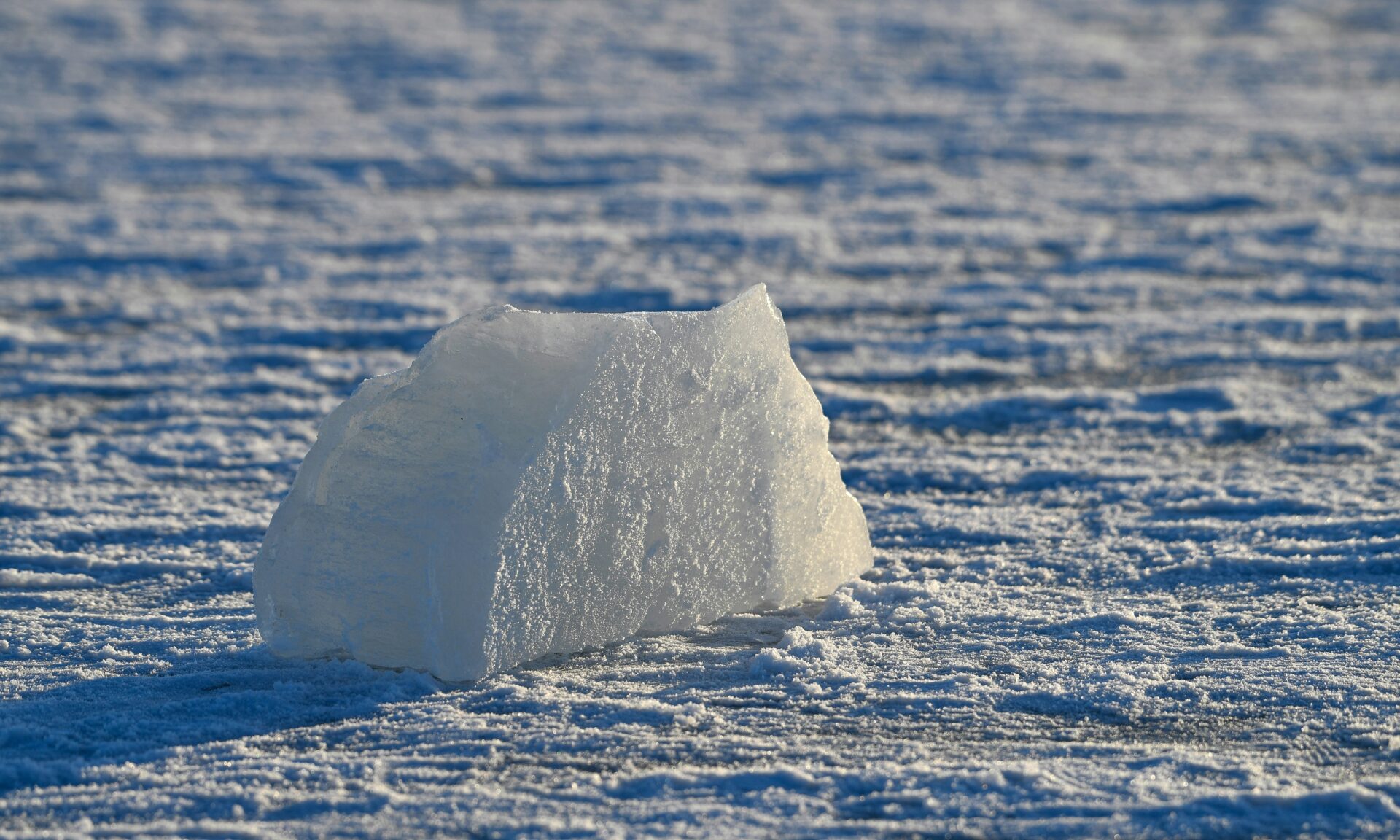 WordPress-tuki ja ylläpito Kemissä – sivuston tietoturva, päivitykset ja tekninen tuki