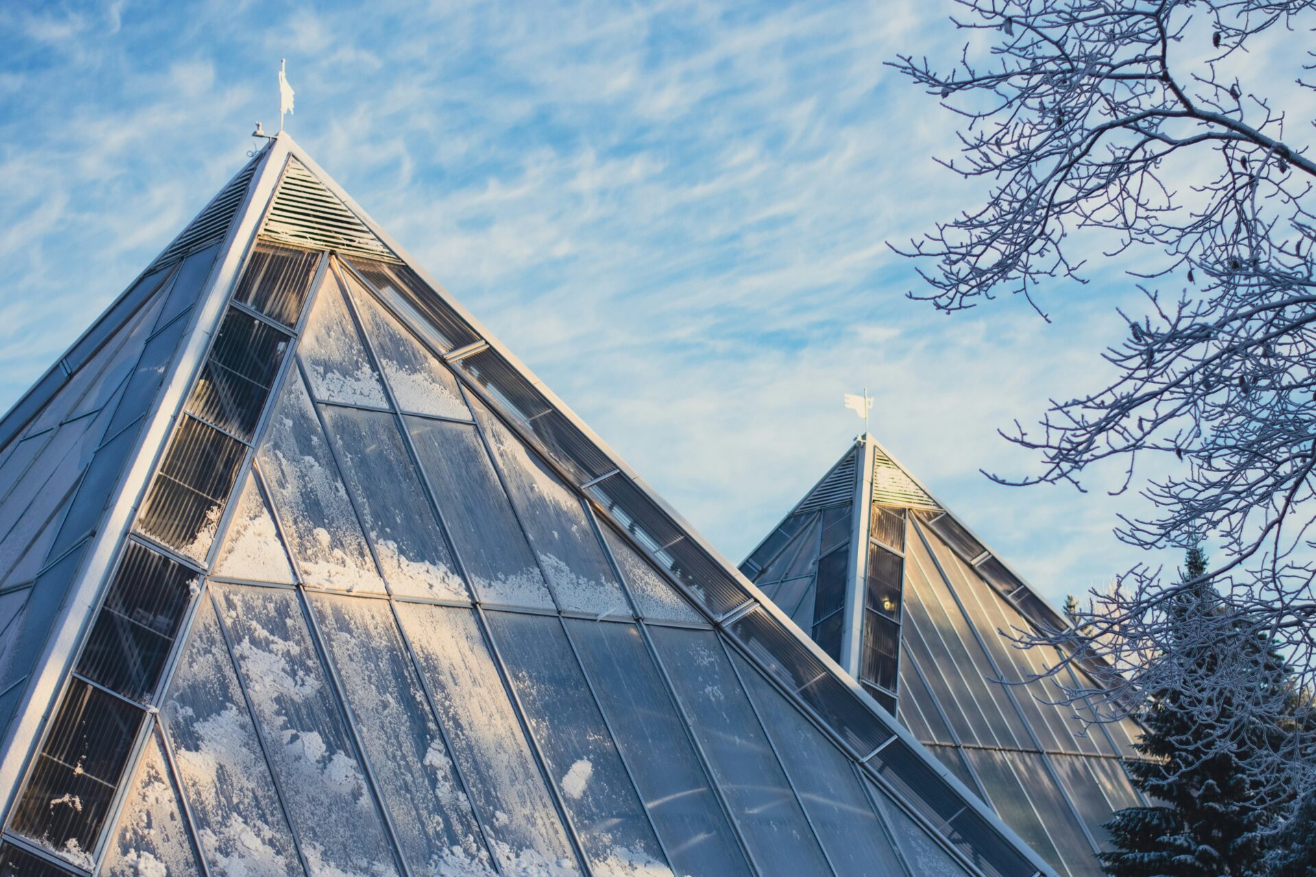 WordPress-tuki ja ylläpito Oulussa – sivuston tietoturva, päivitykset ja tekninen tuki