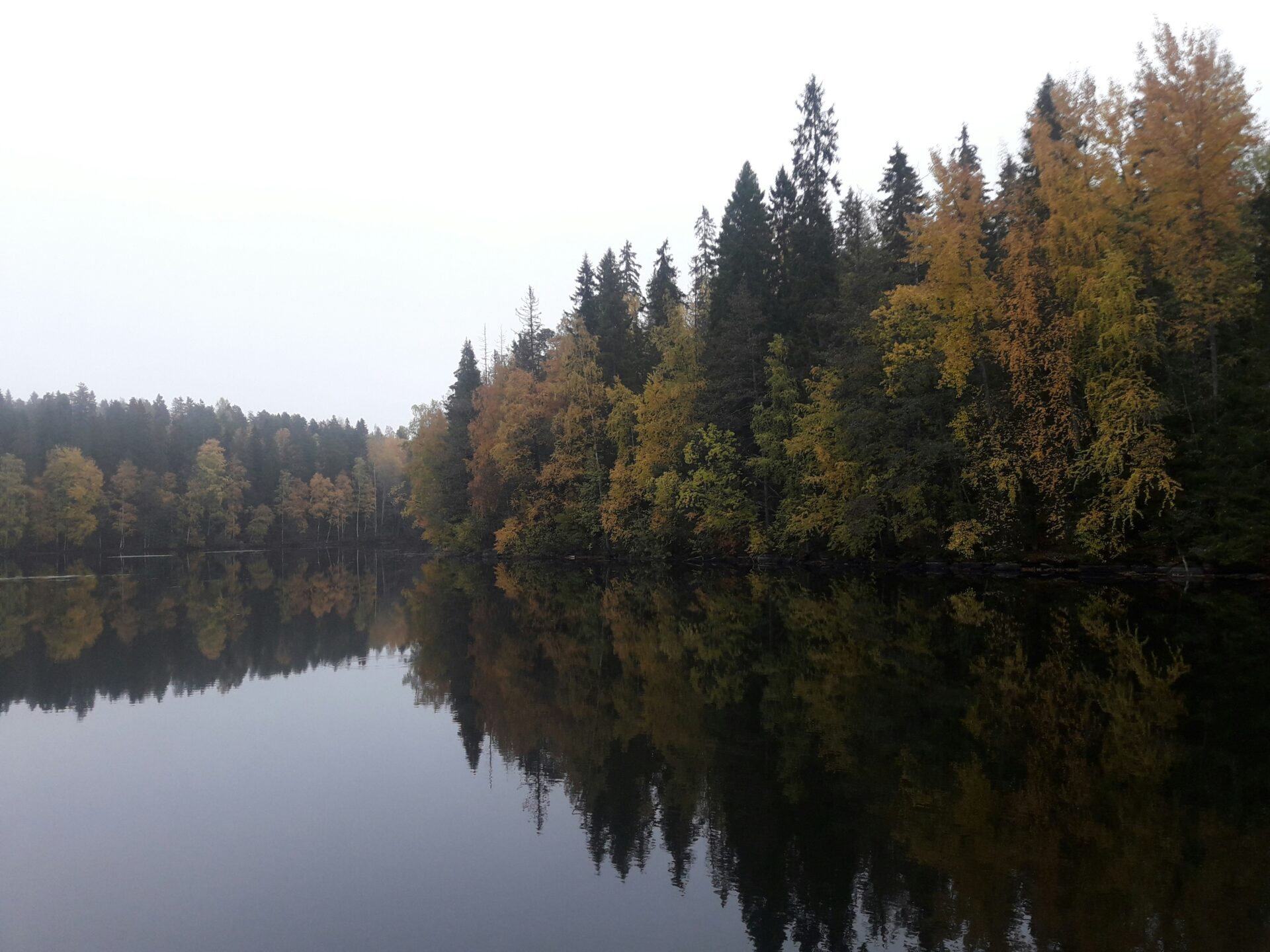 WordPress-tuki ja ylläpito Raahessa – sivuston tietoturva, päivitykset ja tekninen tuki